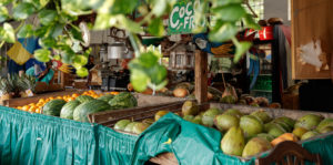 SOLD OUT Little Havana History & Culture Walk