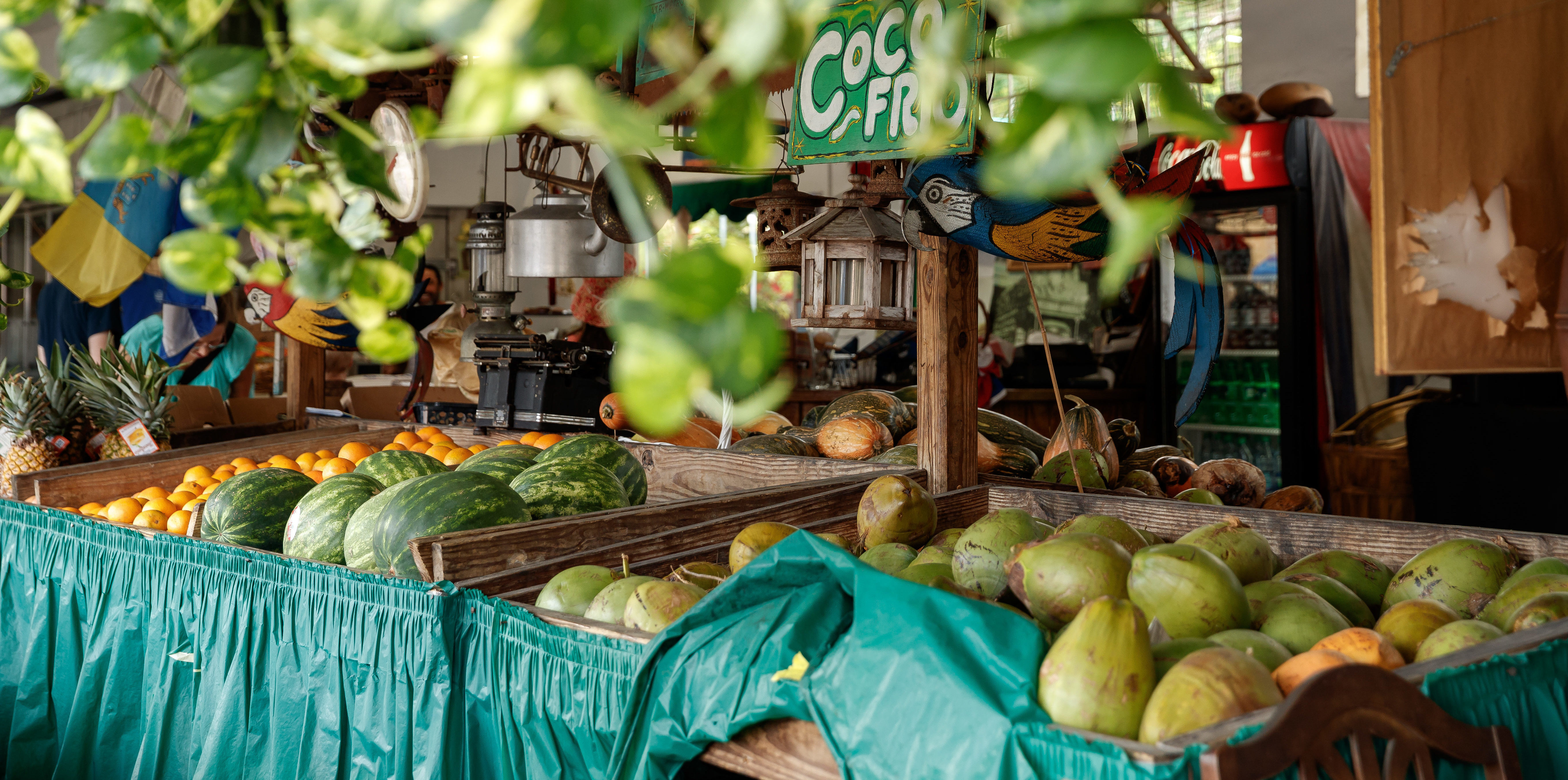 Little Havana History & Culture Walk