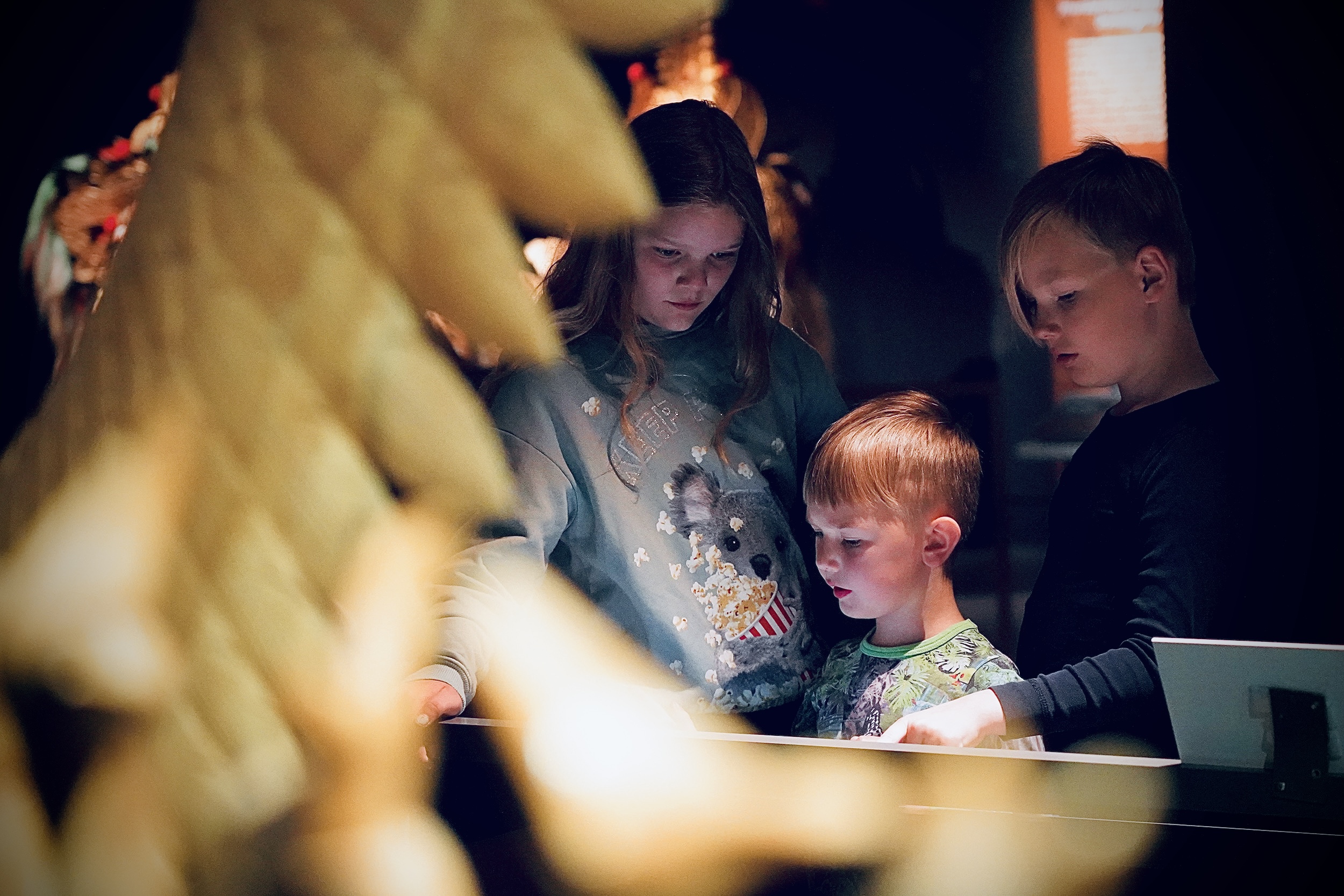 A group of people stand inside of a museum exhibition. They look down at a display case as one person points.