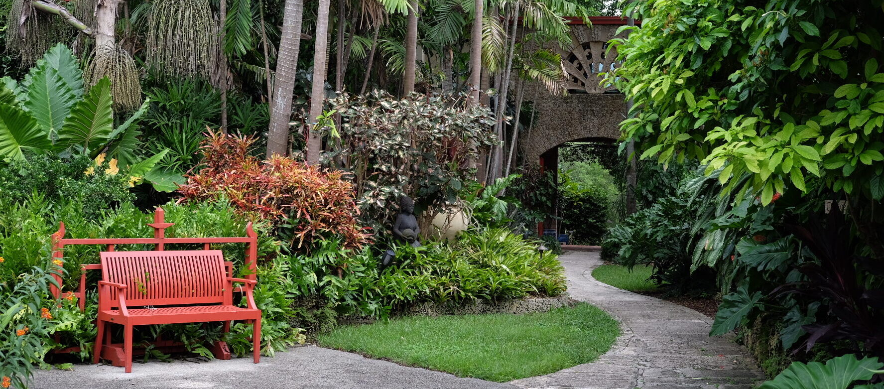 Sip of History: Miami's Tropical Environments