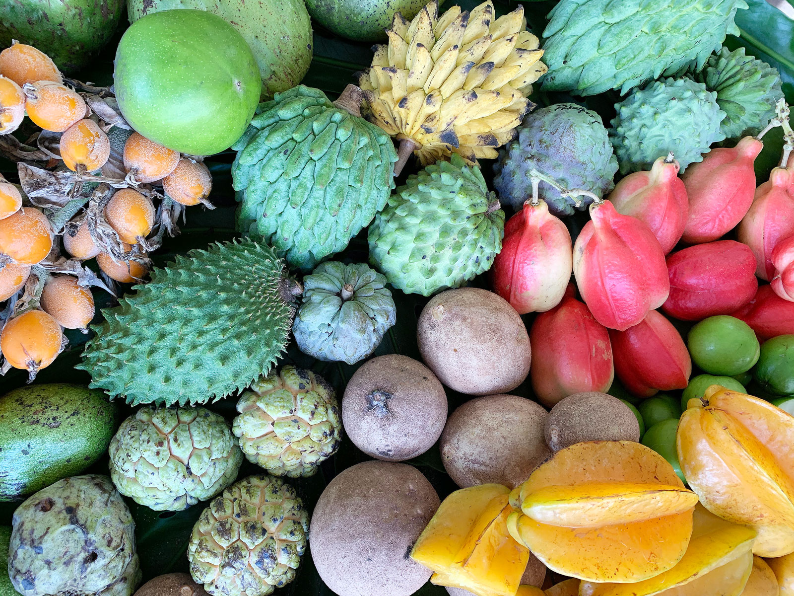 Assortment of tropical fruit