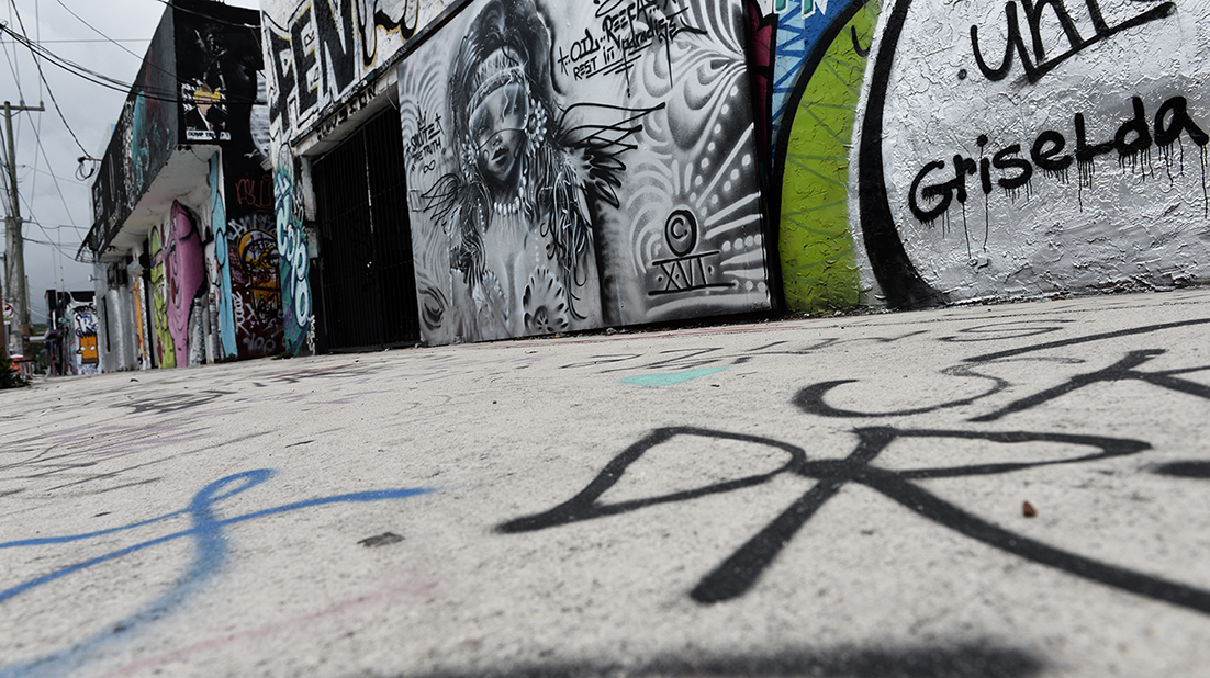 Opening Party of Avenues of Expression: Street Traditions in Miami